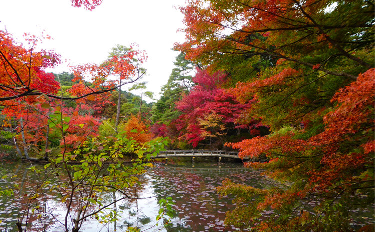 神戸市立 森林植物園