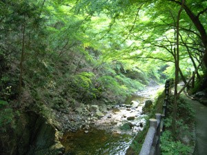 有馬温泉 月光園便り