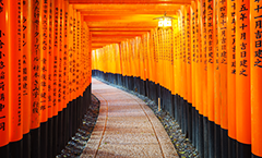 fusimiinari