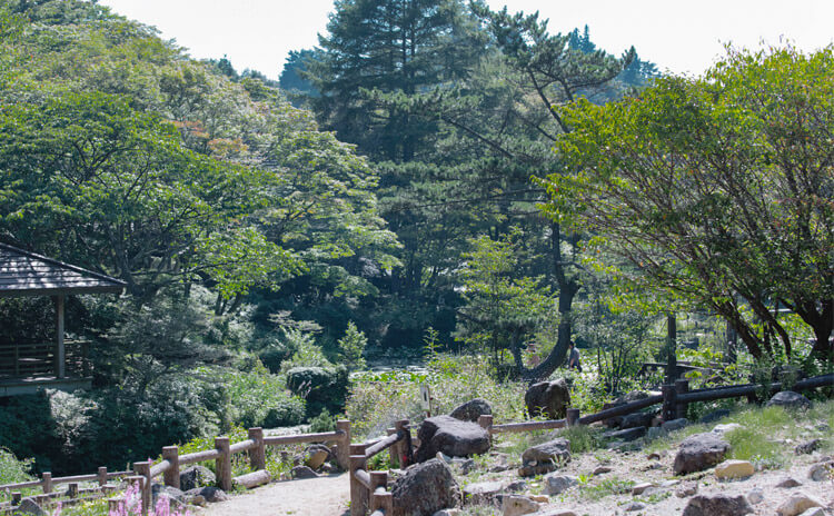 六甲高山植物園