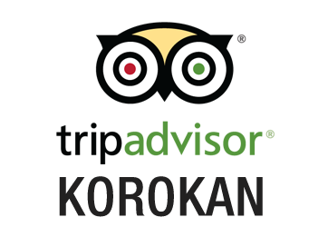 trip advisor