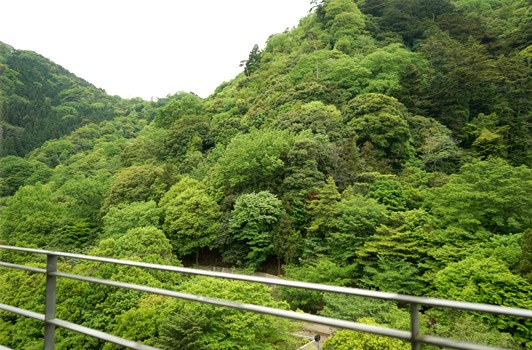 鴻朧館の和室から