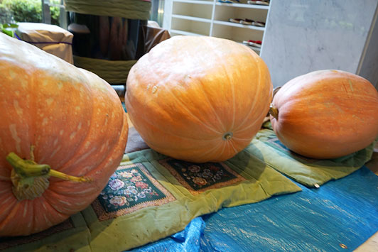 pumpkin2014-04