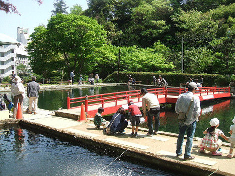 ます池