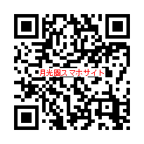 スマホサイトQRコード