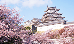 himeji castle